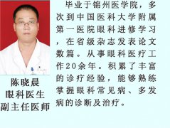 陈晓晨
