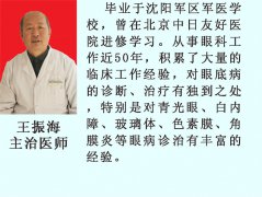 王振海